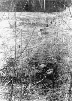 �berreste von Bunker 2 ( KB)