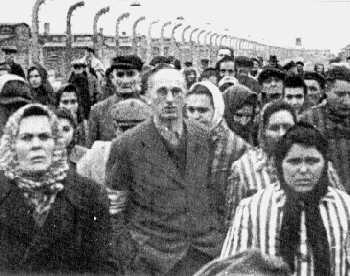 Befreite H�ftlinge des KL Auschwitz-Birkenau (36 KB)