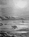 U-Boot in der Arktis - Sichtung eines Eisb&auml;ren