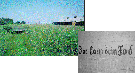 Links: Ein Entwässerungsgraben des KZ Auschwitz-Birkenau im Sommer 1991, rechts: ‚Eine Laus dein Tod‘ an der Wand eines Umkleideraumes in einer Entlausungsanlage