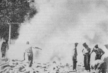 alleged corpses burning in Auschwitz-Birkenau